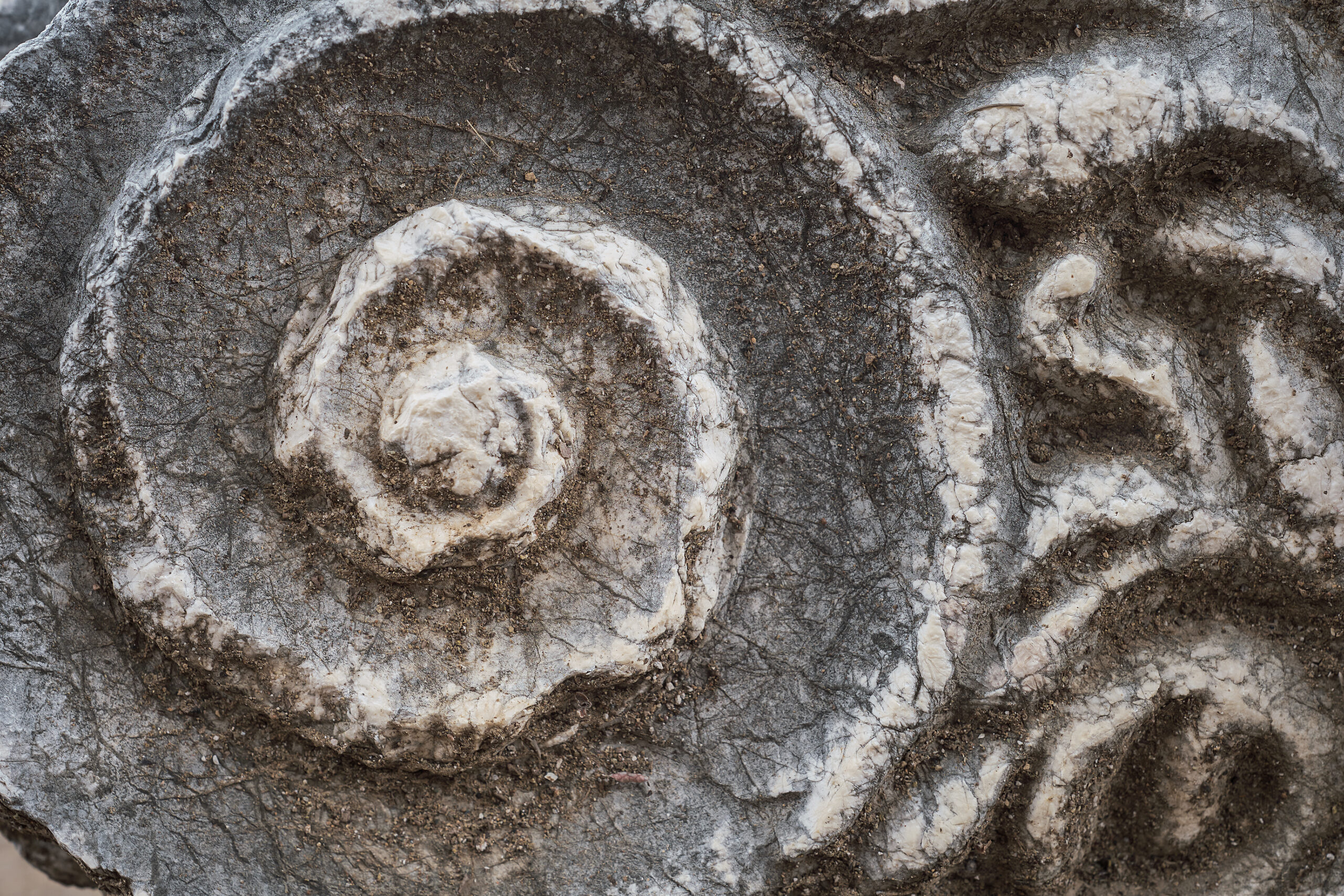 Archéologies sonores